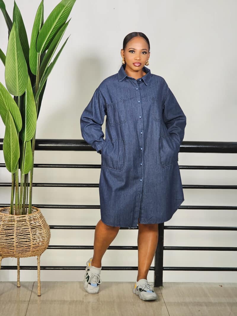 DENIM DRESS