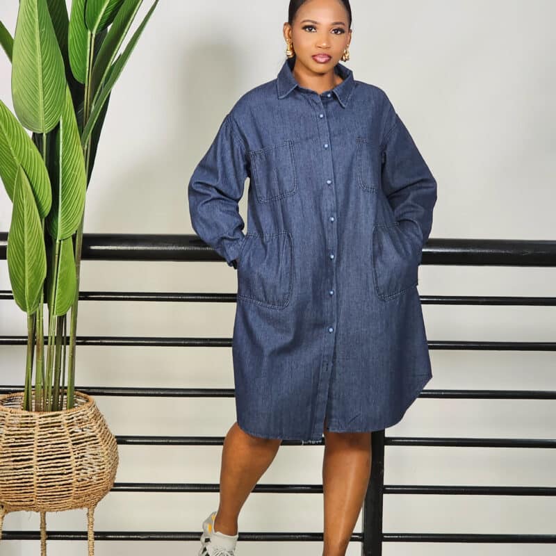 DENIM DRESS