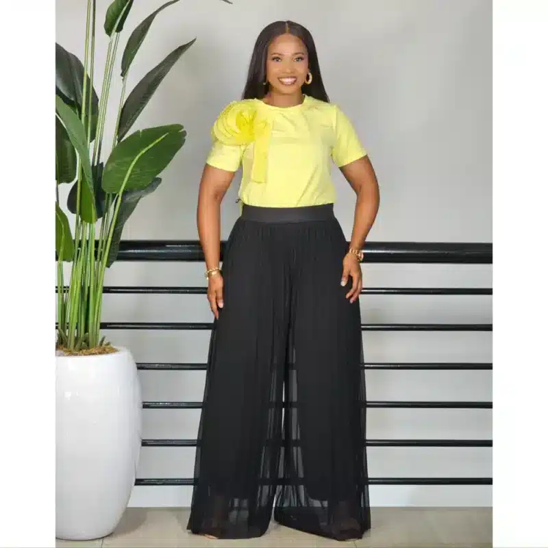 PLEATED CHIFFON PALAZZO PANT - Image 6