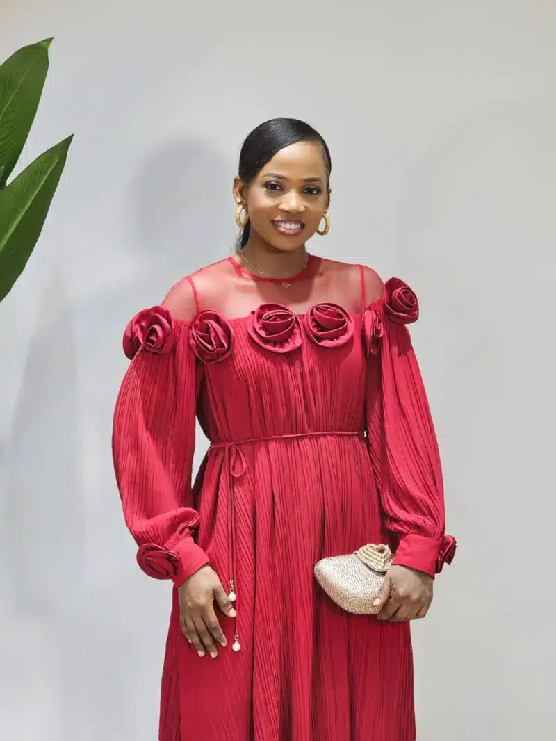 THIN PLEAT SHOULDER MESH DRESS - Image 6