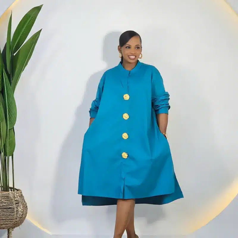 BUTTON DOWN SWING DRESS