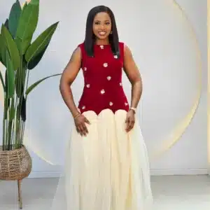 SLEEVELESS VELVET MESH SKATER DRESS