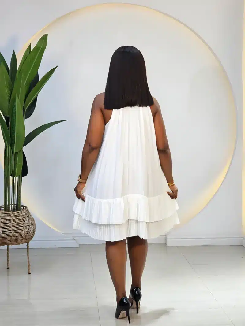 HIGH NECK DOUBLE LAYER PLEATED DRESS - Posh 'n' Sassy