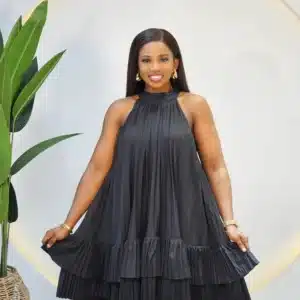 HIGH NECK DOUBLE LAYER PLEATED DRESS - Image 3