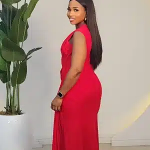 MESH INTER WOVEN FRONT DRINGE DRESS 2911 - Image 4